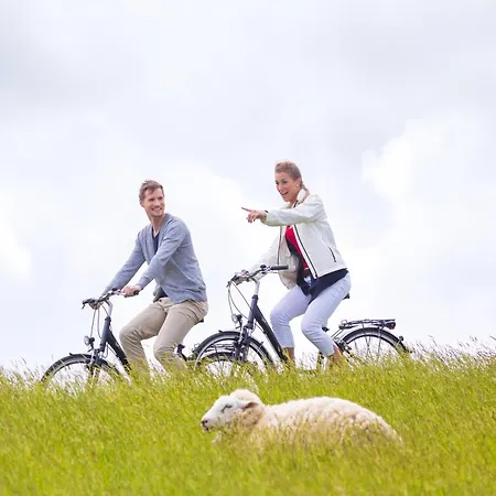 Dorumer Sielhuss 11 Mit Sauna Und Balkon Apartman