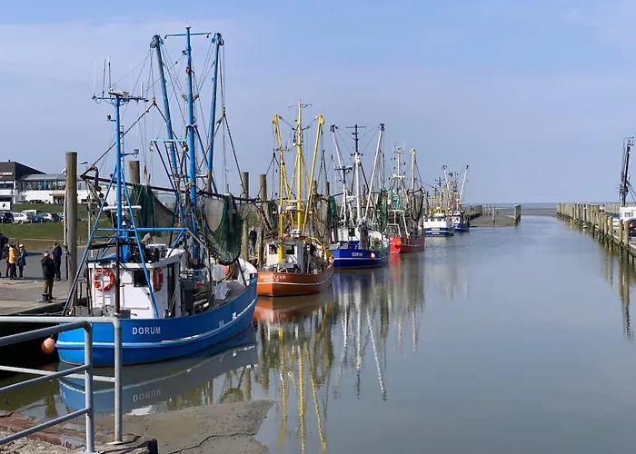 Dorumer Sielhuss 11 Mit Sauna Und Balkon דירה *